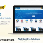 Digistore : Online Digital product Selling Website